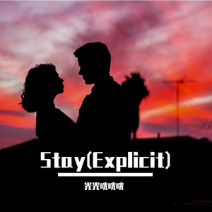 Stay(Explicit)（翻自 Justin Bieber）