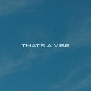That's A Vibe