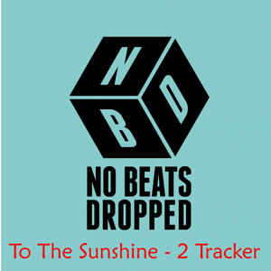 To The Sunshine (RuK Nu Rims Mix)