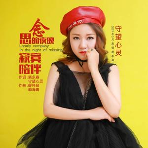 思念的夜晚寂寞陪伴（伴奏）