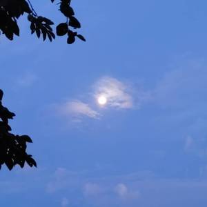 天上的星星不说话