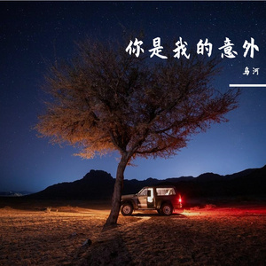 你是我的意外