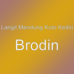 Brodin