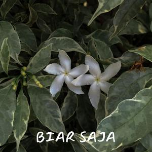 Biar Saja (feat. Libraria)