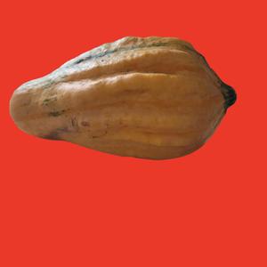 Våldsam