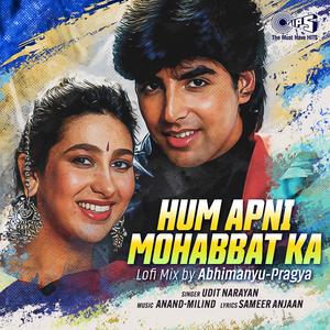 Hum Apni Mohabbat Ka (Lofi Mix)