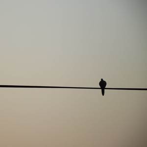 The Winner Is (Slowed + Rain)