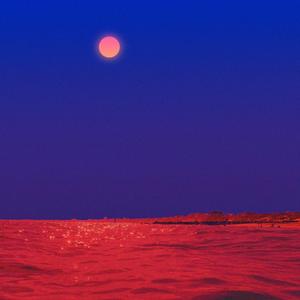 Way Too Long (Radio Edit) (Radio Edit) (Radio Edit)
