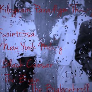 Kilogram Paradigm Theory