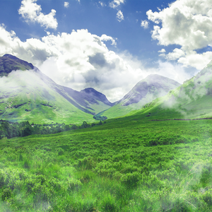 小草（Ft.积雨云1998）