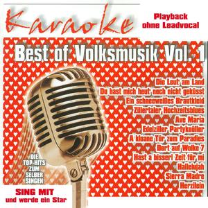 Herzilein (Instrumentalversion)