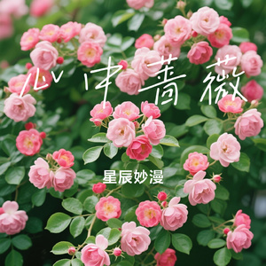 心中蔷薇