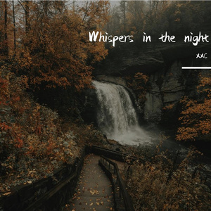 Whispers in the night