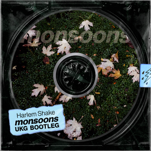 bauuer - harlem shake (monsoons ukg bootleg)