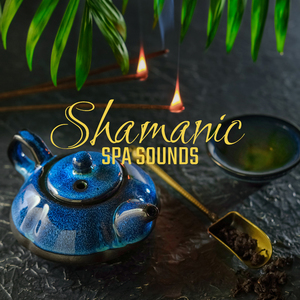 The Spirits of Native American