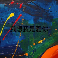 我得了一种叫做忘不掉你的病 (DJ版)