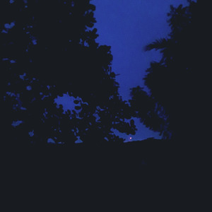 Twilight Rising