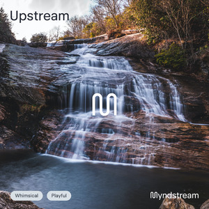 Upstream