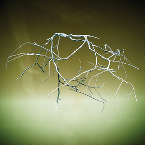 [Braket]