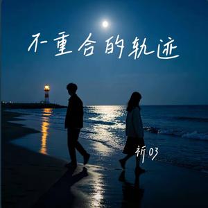 不重合的轨迹 （抖音爆火歌曲 祈03版）- Paths That Never Meet