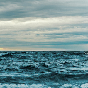 Meditation Field Of Essence