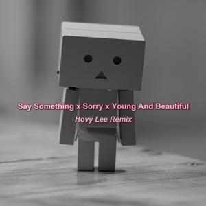 Say Sorry Young And Beautiful（Hovy Lee remix）