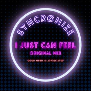 I Just Can Feel (Original Mix)
