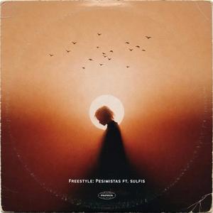 Freestyle: Pesimistas (feat. Sulfis)