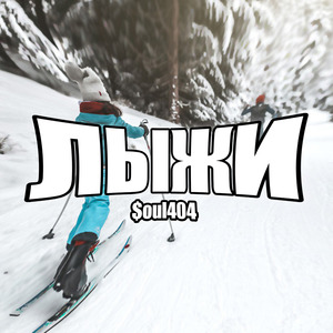 Лыжи