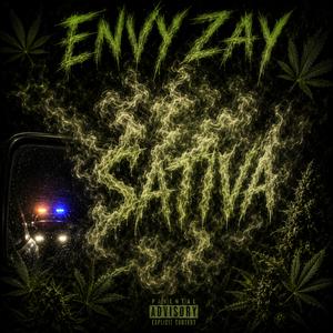 Sativa