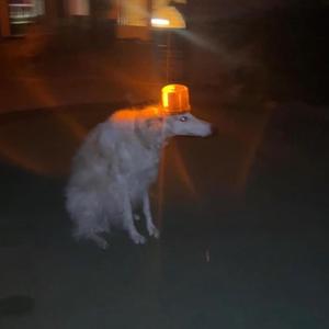 CLOUD 9. (feat. lone, xb_ton & Icykiddo)