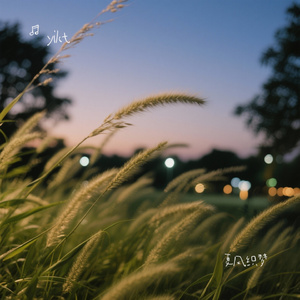 夏风织梦