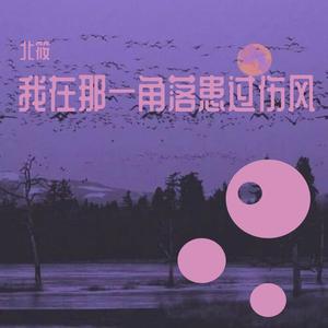 冯曦妤-我在那一角落患过伤风（苏泽 / 政队长·ZHENG remix）