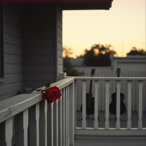 I Brought a Rose