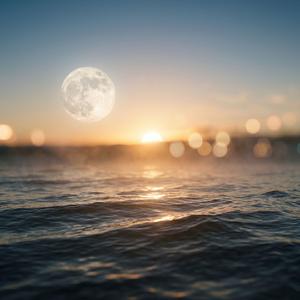 Moonshine