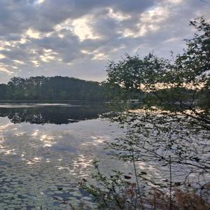 SO ALONE BY CALI6REED