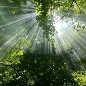 拥抱你 像把迟到的春天补给我