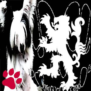 10 (feat. Alyx Trick)