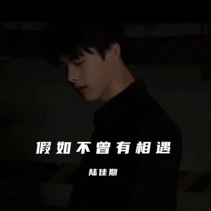 假如不曾有相遇