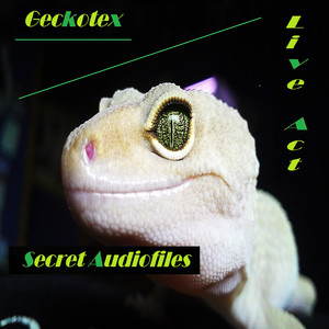 Secret Audiofiles (Live Act)