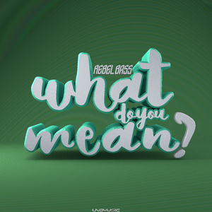 What Do You Mean? (Supa Nani Remix)