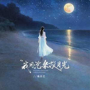 我用沧桑敬月光