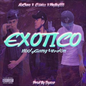 Exotico Hoolygang (feat. Akachavo & Pleyboy333) (Remix) (Remix)