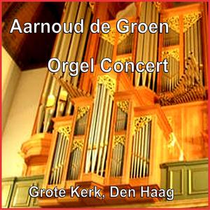 Parsita diverse sopra "O Gott, du frommer Gott" BWV 767