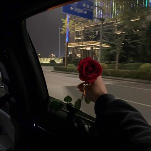 都是月亮惹的祸0.8×