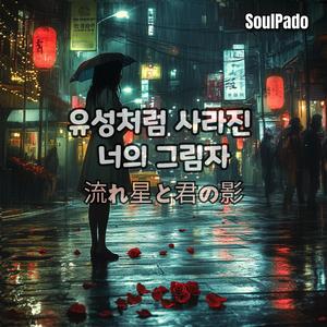 유성처럼 사라진 너의 그림자 (流れ星と君の影)