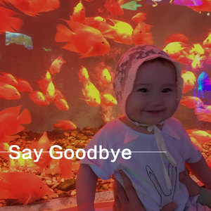 Say Goodbye Part2