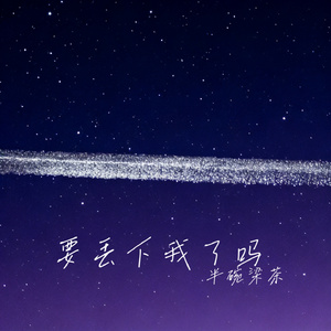 要丢下我了吗