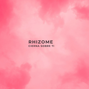 Rhizome