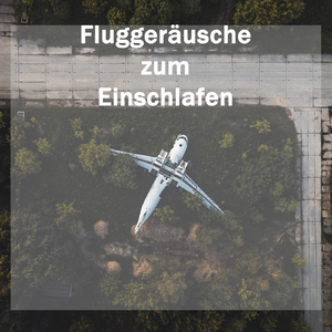 Airplane Noise, Pt. 13